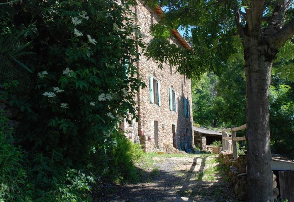Gite De Fontfouillouse Les Plantiers Esterno foto